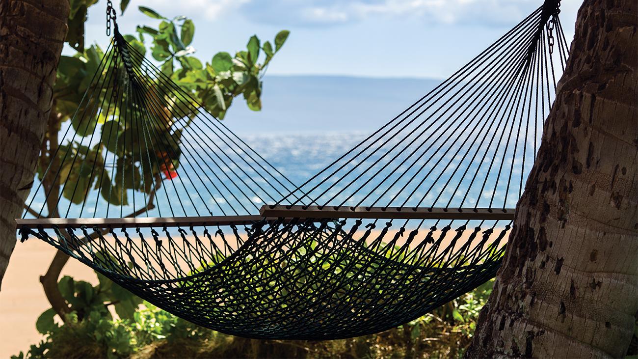 Hammocks